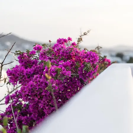 Callisti With Pool View And Calypso Upper Floor With Sea View Apartment *
